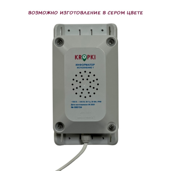 Информатор речевой (звуковой) ИР-001 исполнение 1